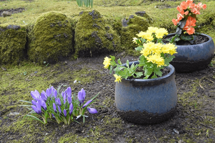 Fountainhúsið ynskir øllum eini gleðiligar páskir