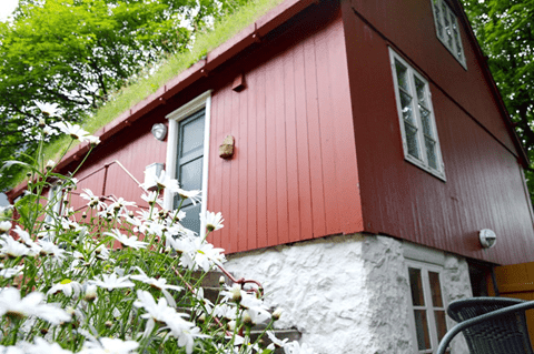 Fountainhúsið í summarfríð