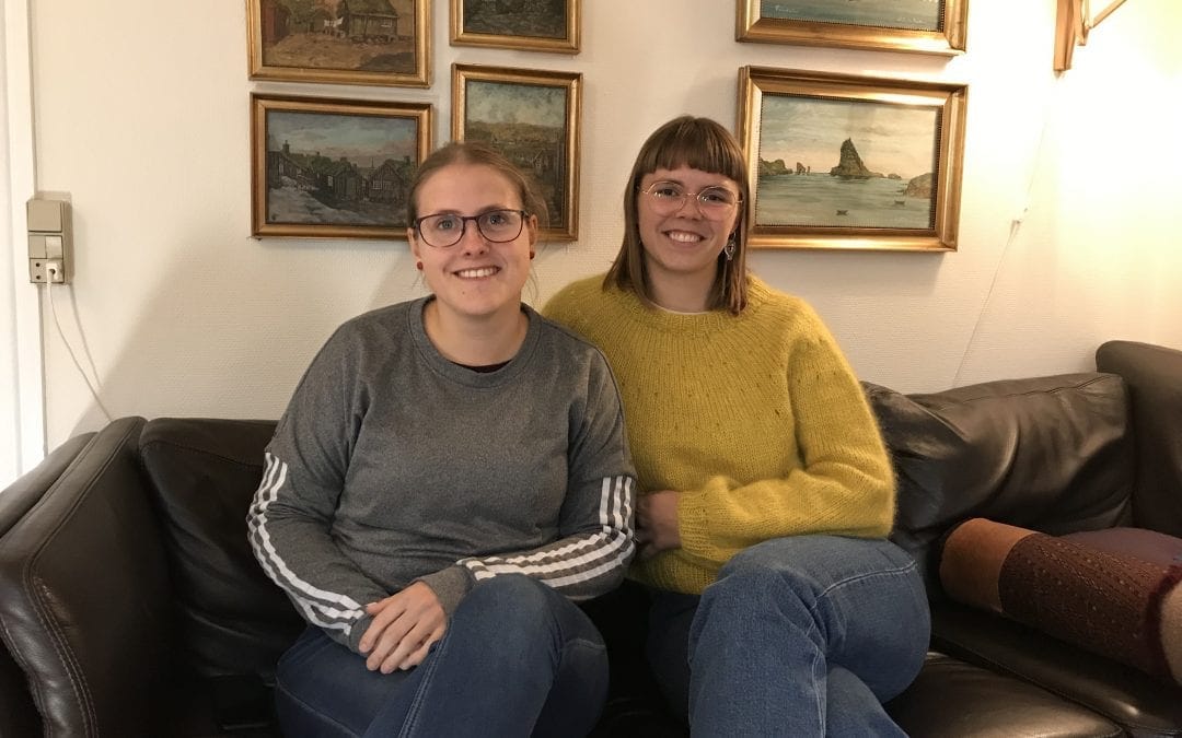 Lesandi í starvsvenjing