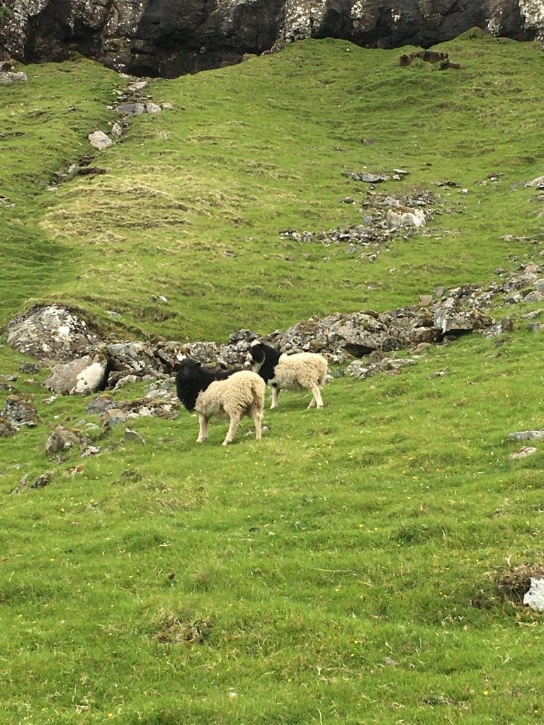 Seyður