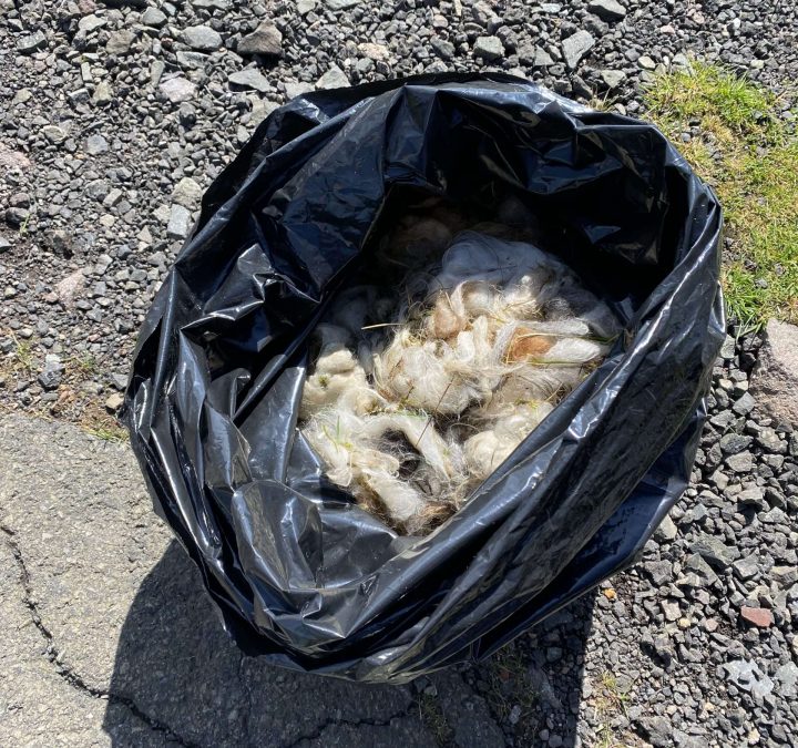 Ull sum tøð til eplaveltuna